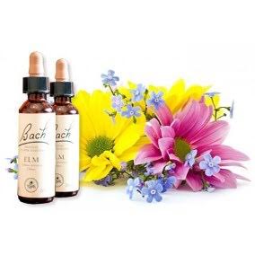 flores de bach 2
