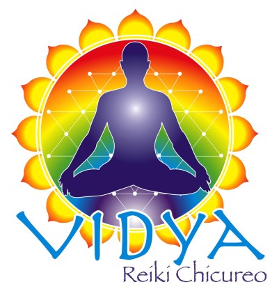 Logo Vidya